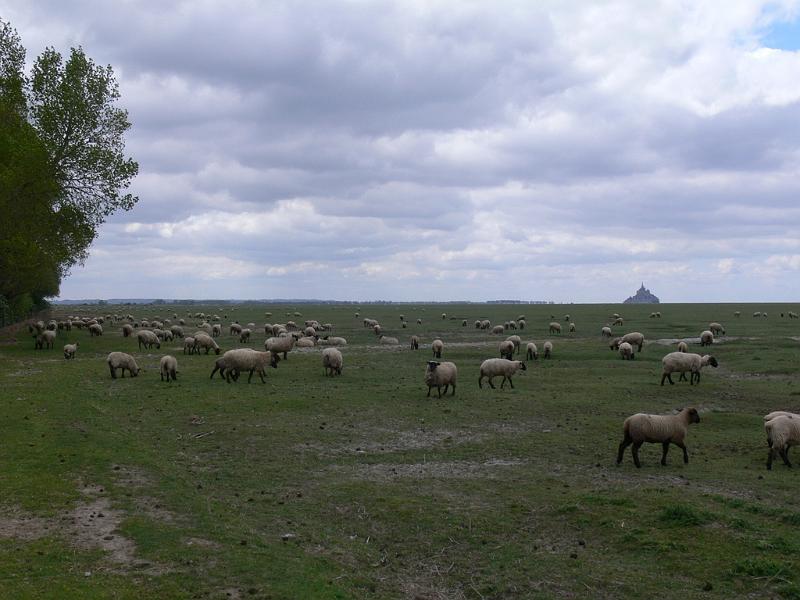 Mont Saint Michel 2010 - 407.jpg
